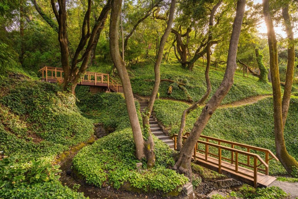 125CanonDriveExteriorDay-14