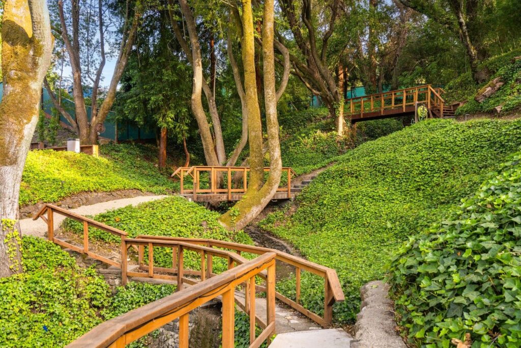 125CanonDriveExteriorDay-15